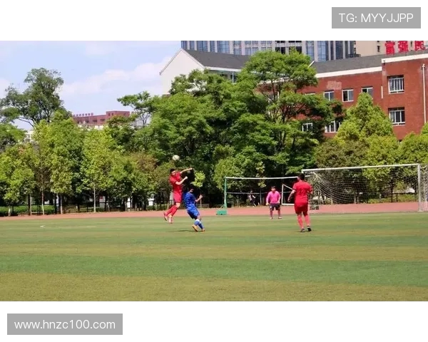 广州篮球队边路渗透战术解析与应用探讨